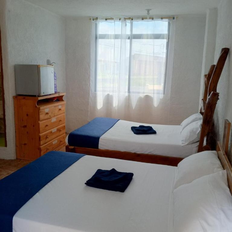 Private room for 4 people, Casa Oasis Galapagos - One-Bedroom Apartment - 6