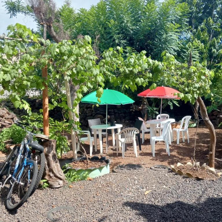 Private room for 4 people, Casa Oasis Galapagos - One-Bedroom Apartment - 13