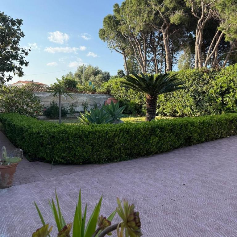 FONTANE BIANCHE 300MT fROM BEACH - Casa con 2 Camere da Letto - 5