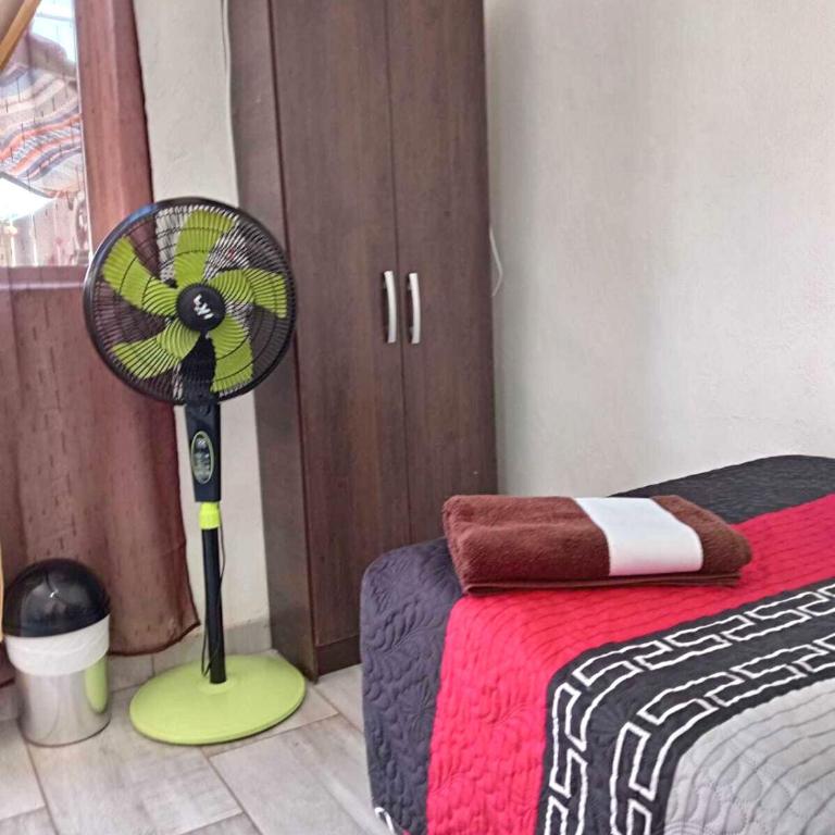 Misky Wasi - Bed in Male Dormitory Room - 3