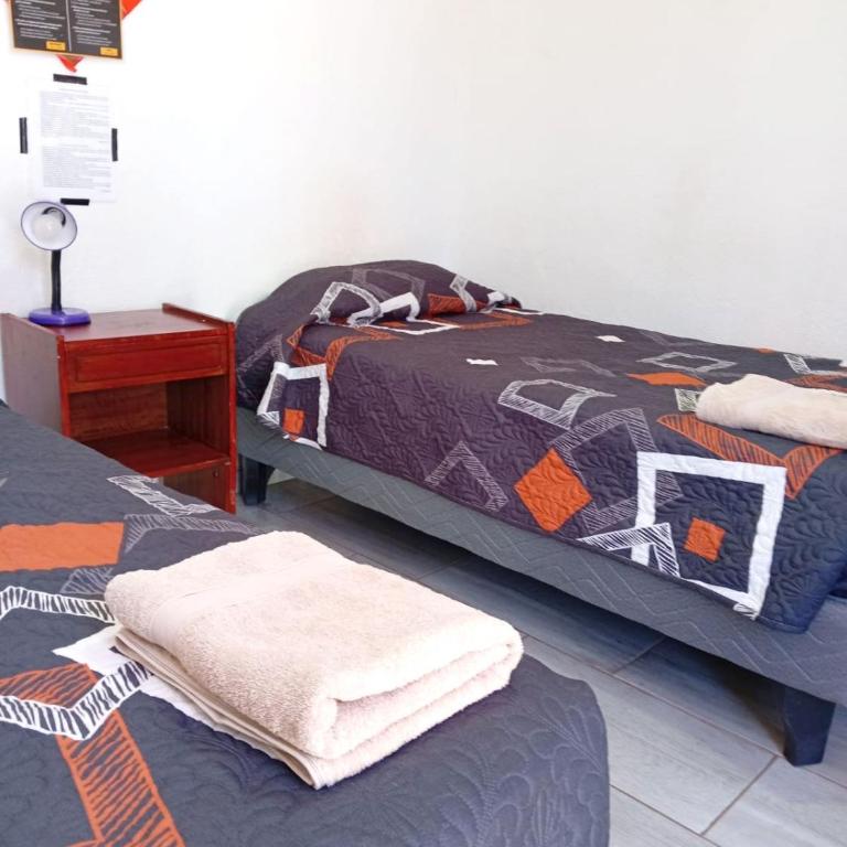 Misky Wasi - Bed in Male Dormitory Room - 6