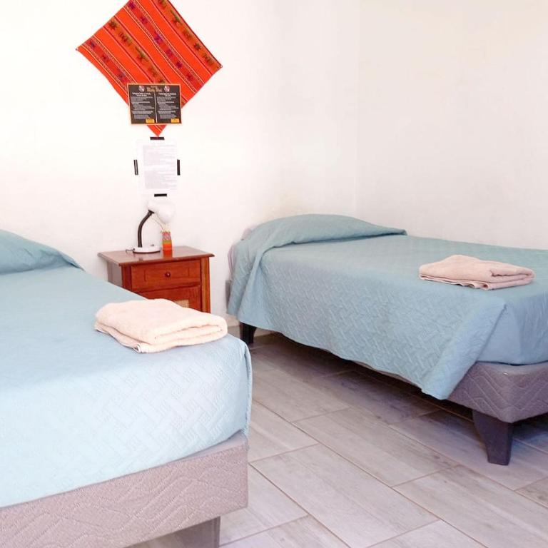 Misky Wasi - Single Bed in Female Dormitory Room - 3