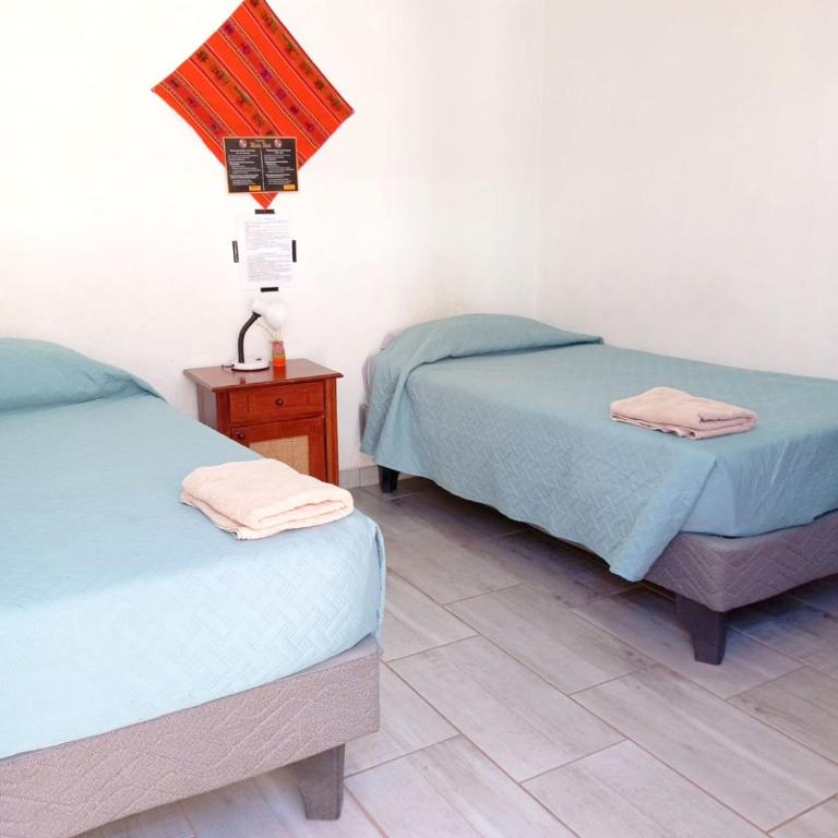 Misky Wasi - Single Bed in Female Dormitory Room - 2