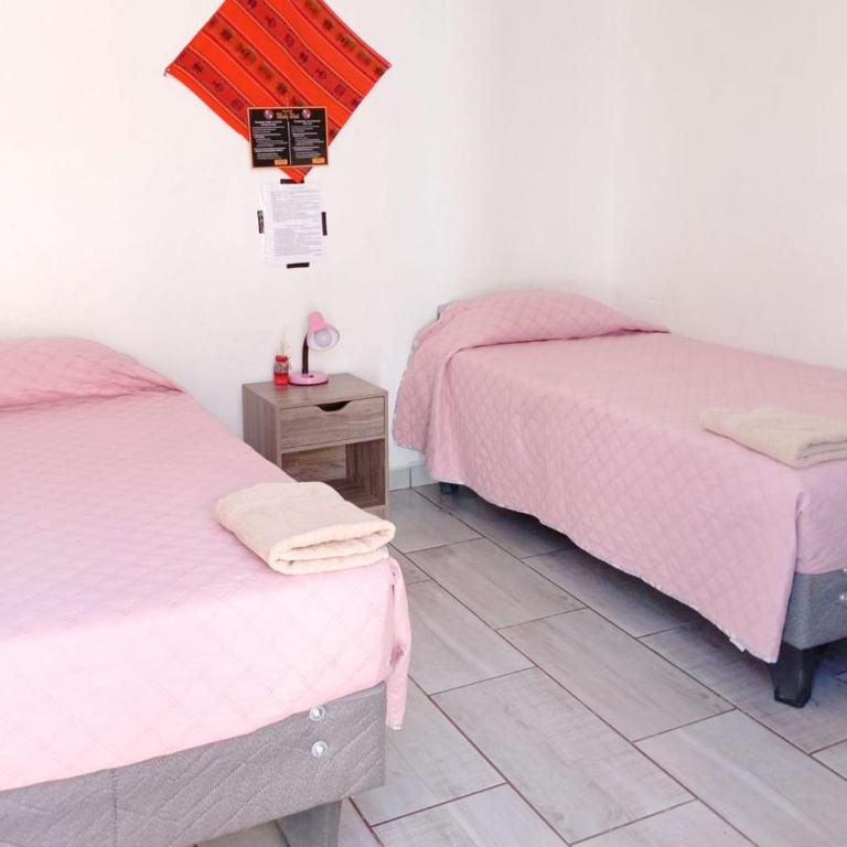 Misky Wasi - Single Bed in Female Dormitory Room - 7