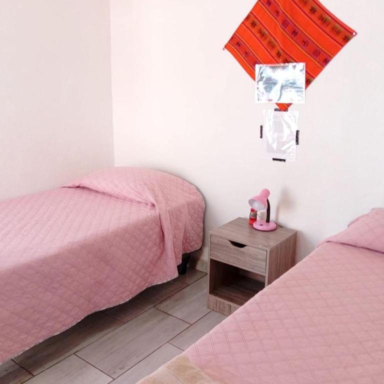 Misky Wasi - Single Bed in Female Dormitory Room - 6