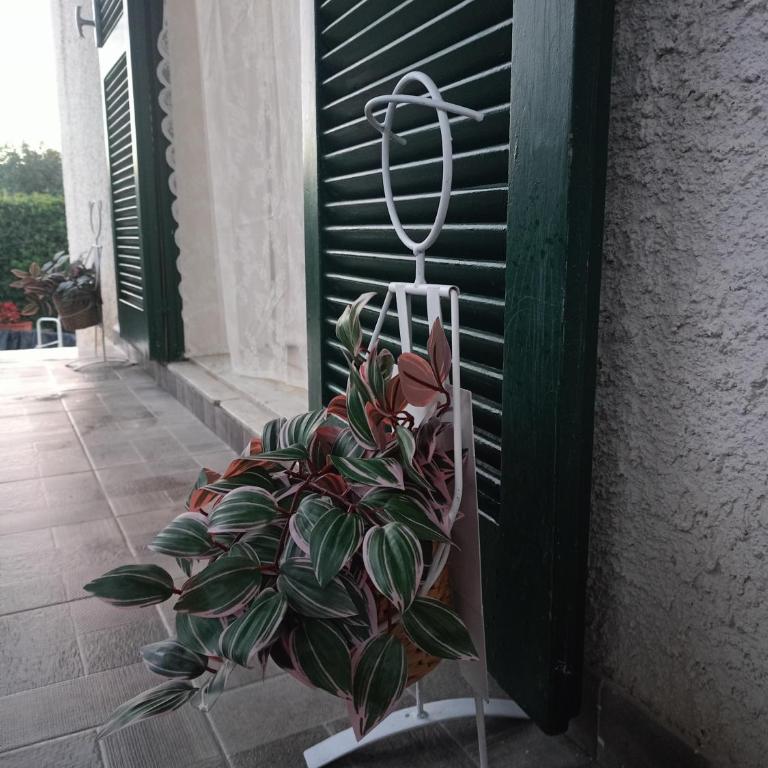 FONTANE BIANCHE 300MT fROM BEACH - Casa con 2 Camere da Letto - 14
