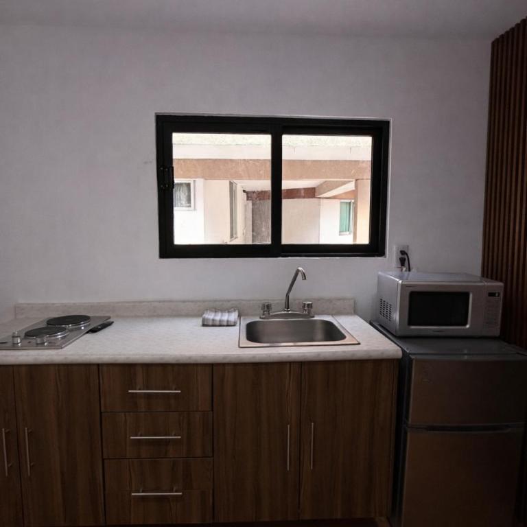 Bowra Suite Privada, Zona Consulado ORQ10 - One-Bedroom Apartment - 4