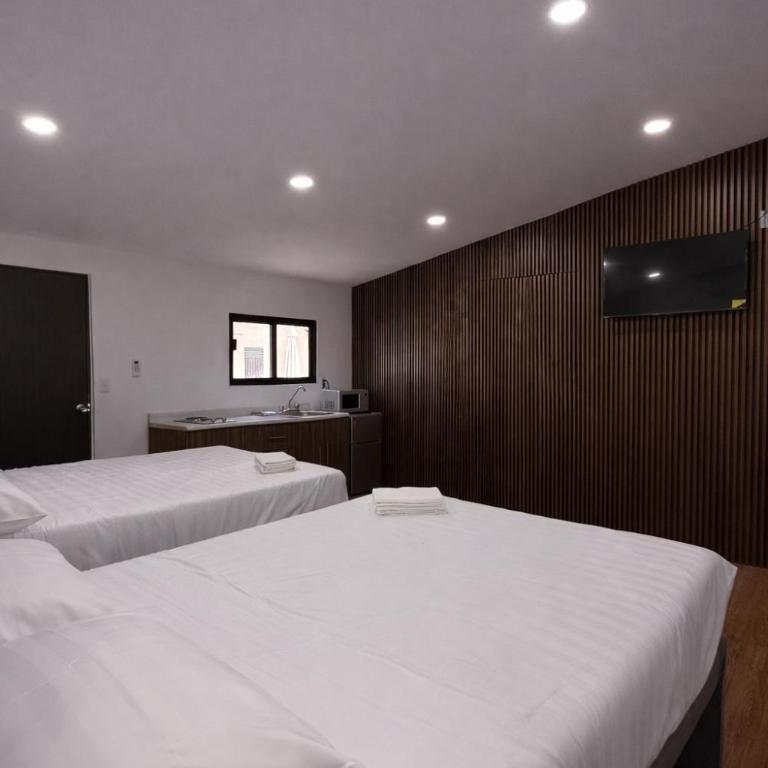 Bowra Suite Privada, Zona Consulado ORQ10 - One-Bedroom Apartment - 10