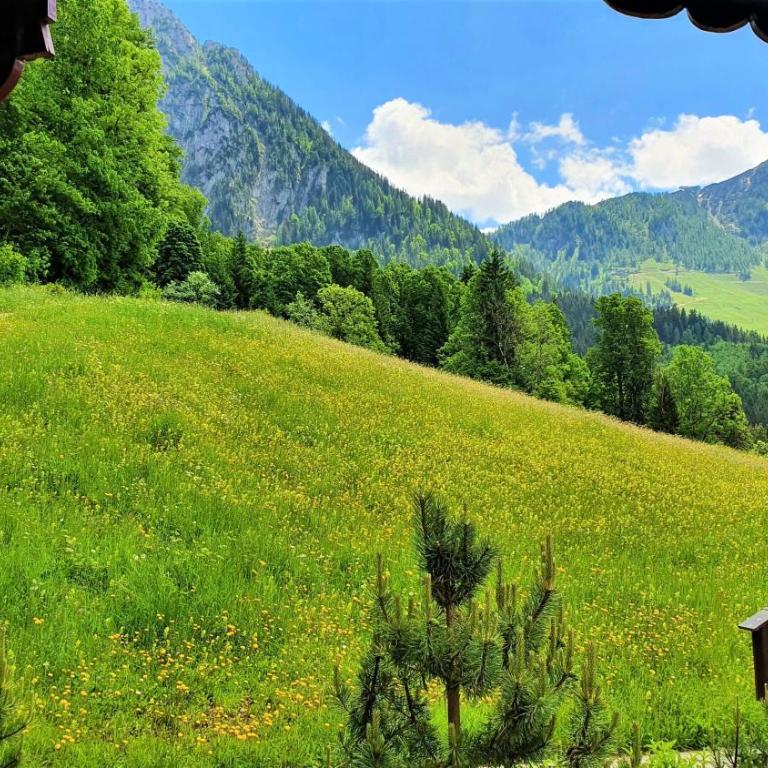 5 Bergpanorama und herrliche alpinen Almlandschaft für absolute Nichtraucher - Apartment - 7