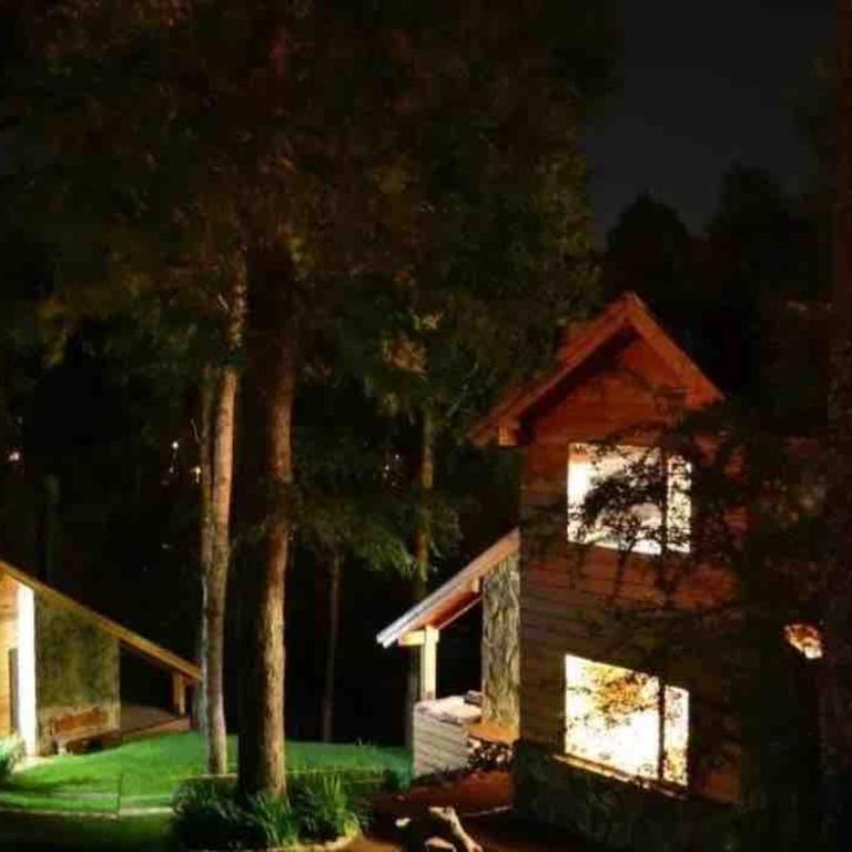 Excelente Casa en bosque con vista a Chapelco y Lago Lacar - Casa de 2 dormitorios - 2