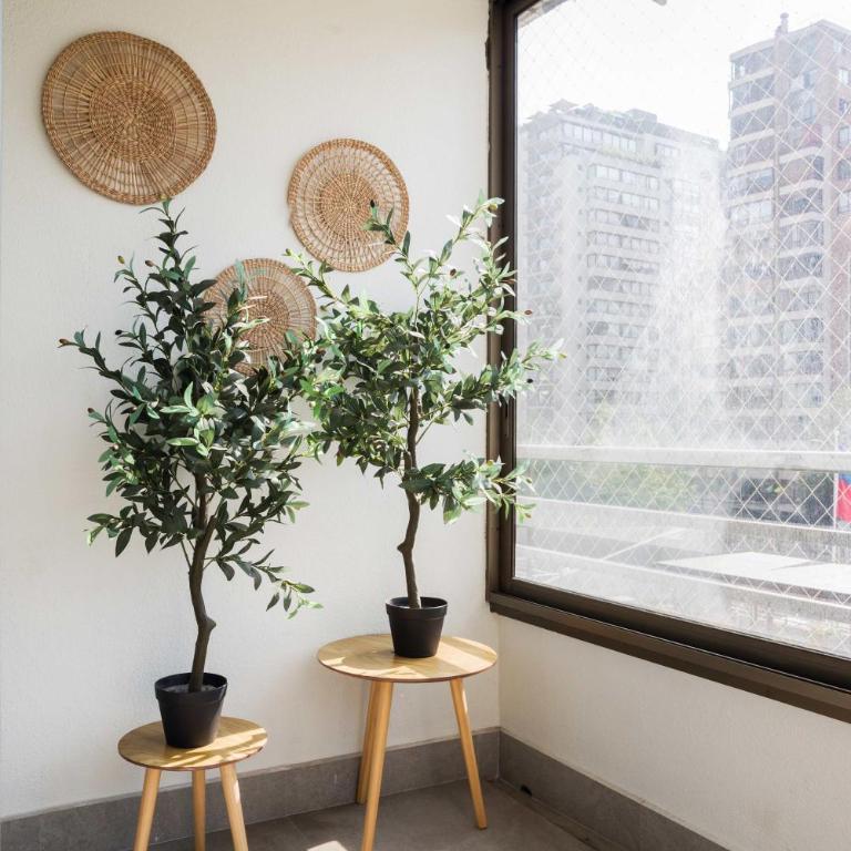 Your Adventure Begins in Las Condes 2BR2BA Apartment - Apartment - 18