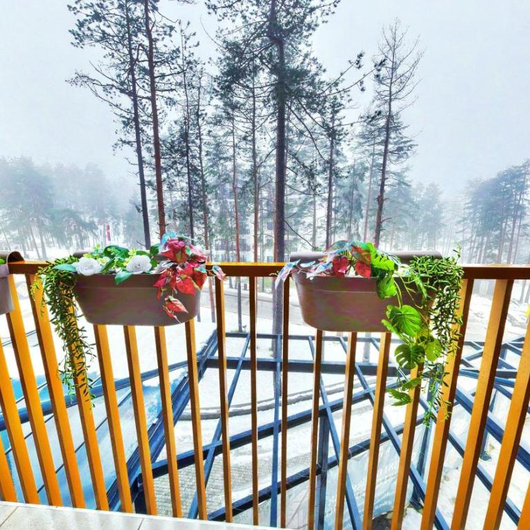 Royal Garden Knezevic - One-Bedroom Apartment - 26