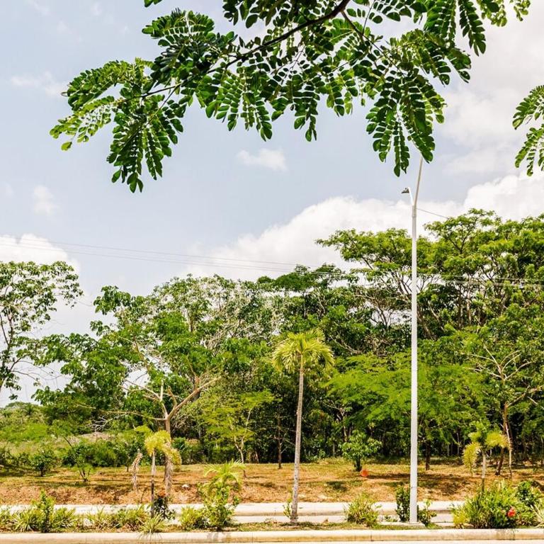 Relaxation and comfort in a tourist area - One-Bedroom Apartment - 20