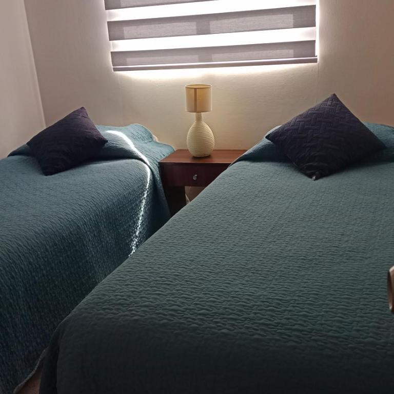 Plaza Brintrup - Standard Apartment - 40