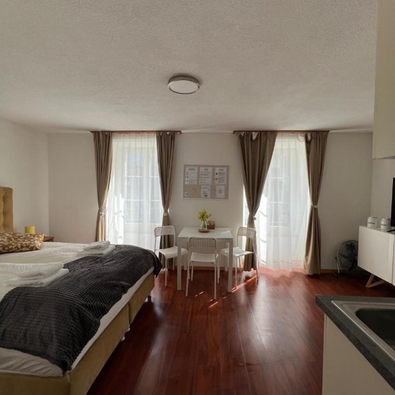 Nimbuzzz Apartments - Studio - 2