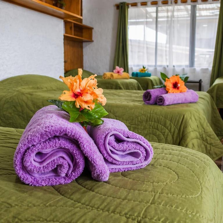 Cabañas & Hostal Tojika - Single Bed in Mixed Dormitory Room - 3