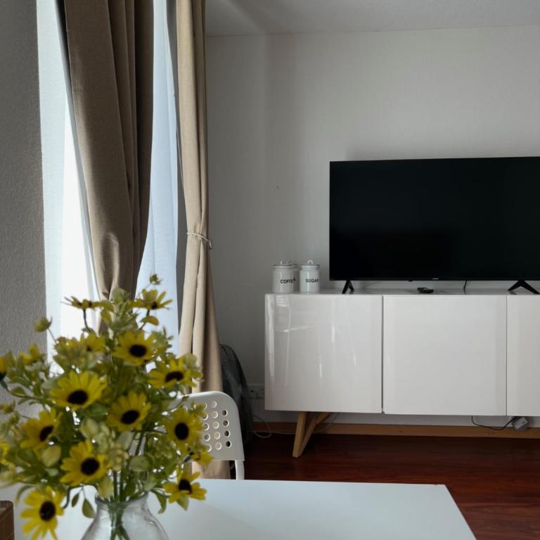 Nimbuzzz Apartments - Studio - 4