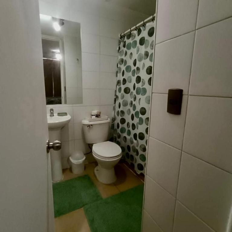 Berlin in Santiago, a great apartment - One-Bedroom Apartment - 12