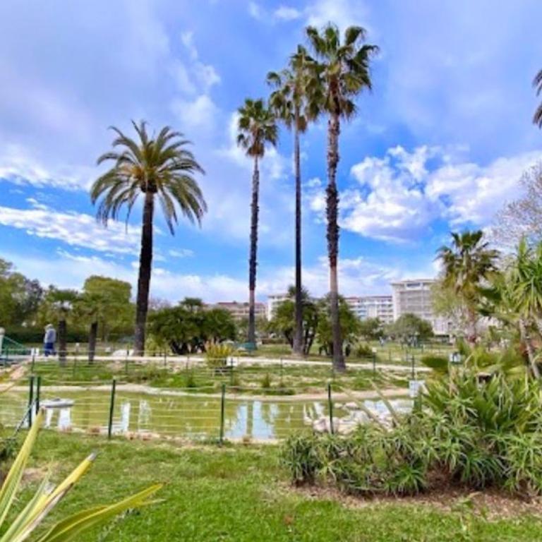 T2 Bord de mer & piscine - Vue parc Exflora - Apartment mit 1 Schlafzimmer - 9