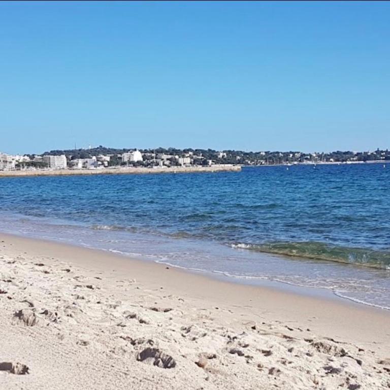 T2 Bord de mer & piscine - Vue parc Exflora - Apartment mit 1 Schlafzimmer - 8