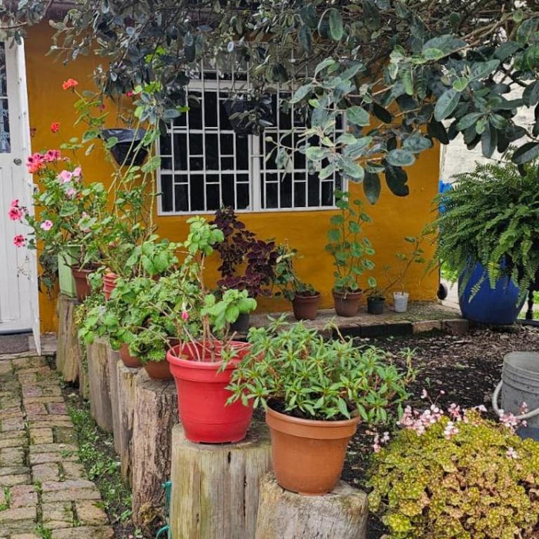 Aparta estudio campestre - Apartamento de 1 dormitorio - 1