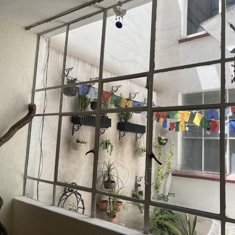 Comfortable and cozy apartment in Roma Condesa - Apartamento de 2 dormitorios - 24