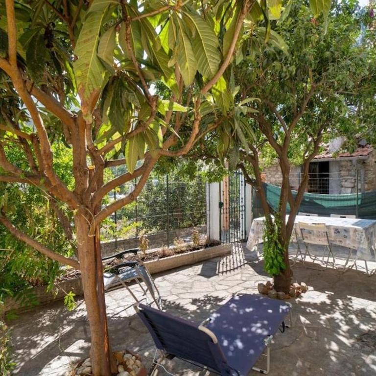HOST4U - Ligurian House with Garden in Imperia - Appartamento con 2 Camere da Letto e Vista Giardino - 9