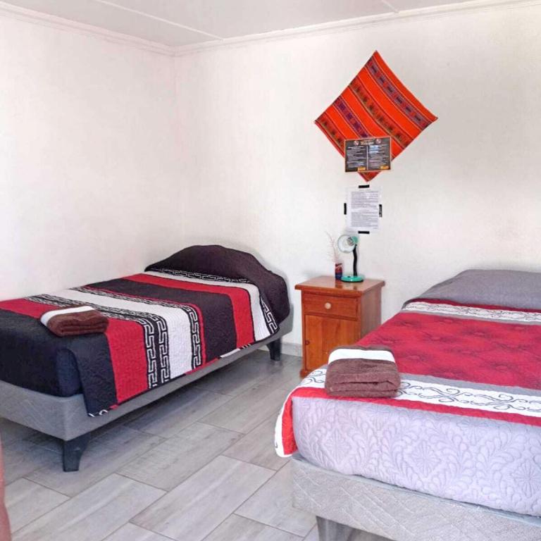 Misky Wasi - Bed in Male Dormitory Room - 10