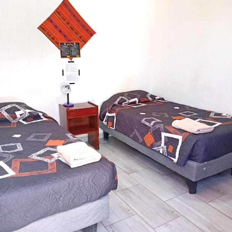 Misky Wasi - Bed in Male Dormitory Room - 12