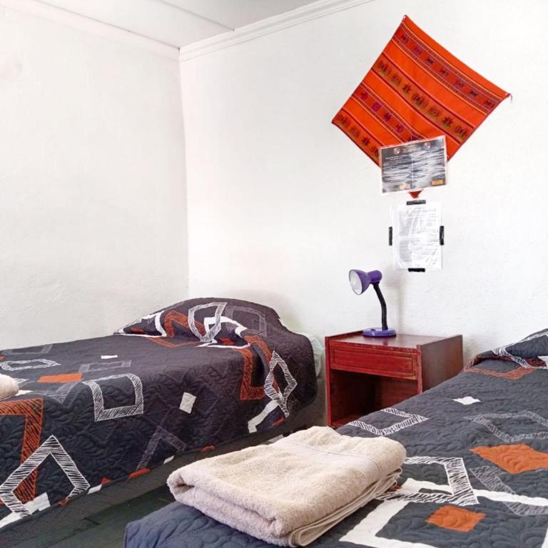 Misky Wasi - Bed in Male Dormitory Room - 11