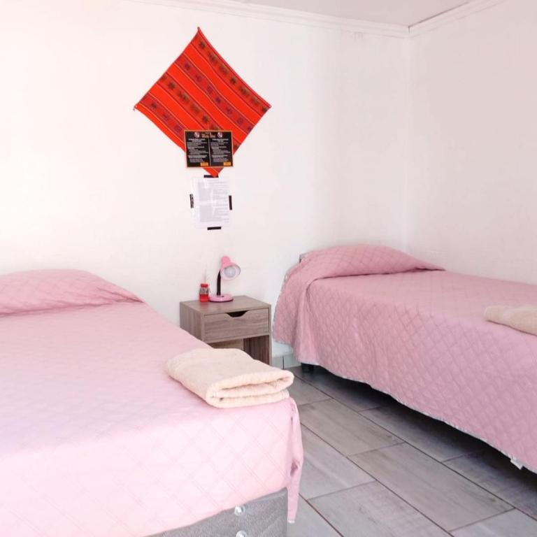 Misky Wasi - Single Bed in Female Dormitory Room - 11