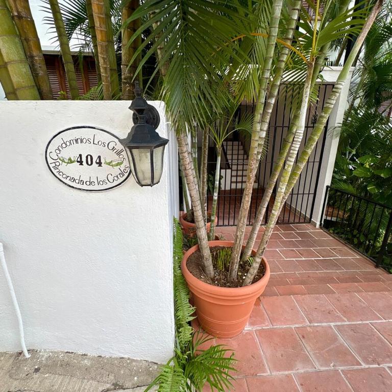 Oceanview Gem Pool & Balcony Conchas Chinas - Apartamento de 1 dormitorio - 7