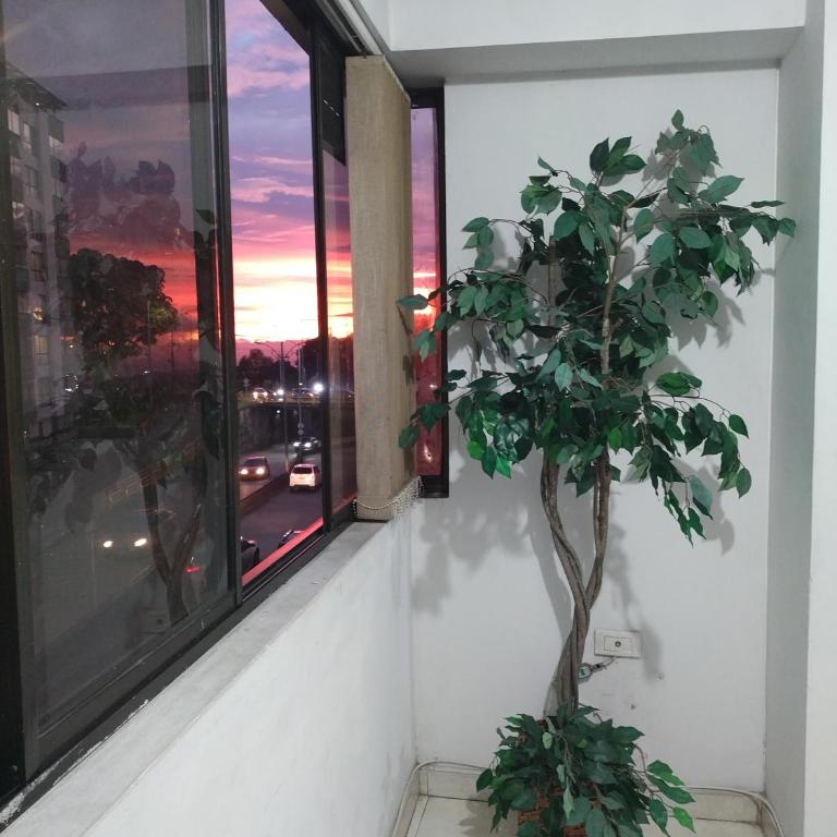 Apartamento De Dos Habitaciones Bien Ubicado - Apartamento de 2 dormitorios - 1
