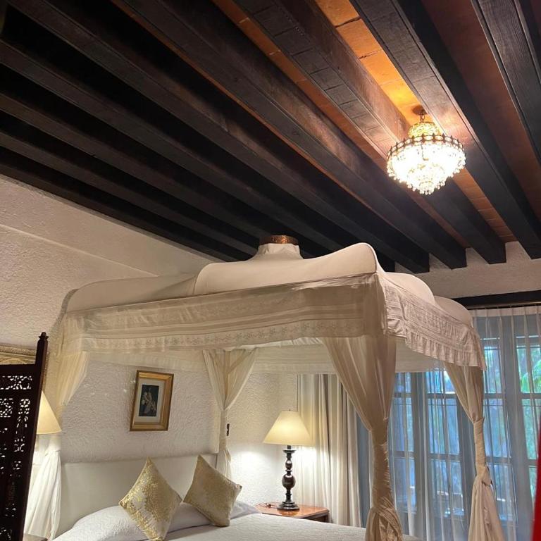 Avicena Hotel Boutique - Suite Superior con cama extragrande - 3