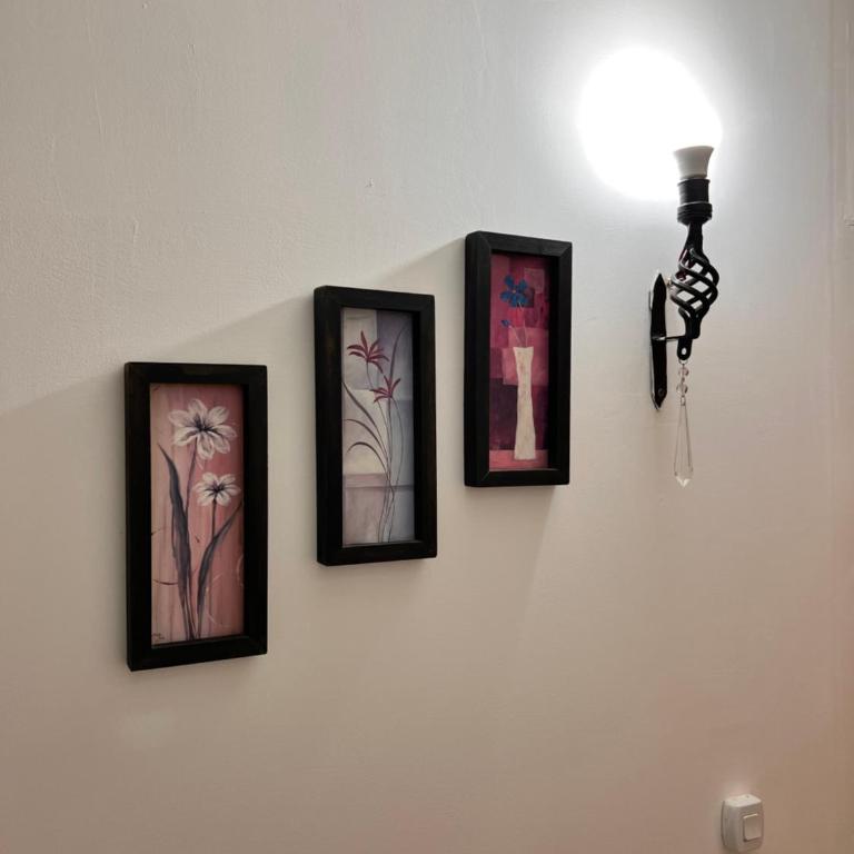 Don Mario - Apartamento de 1 dormitorio - 12