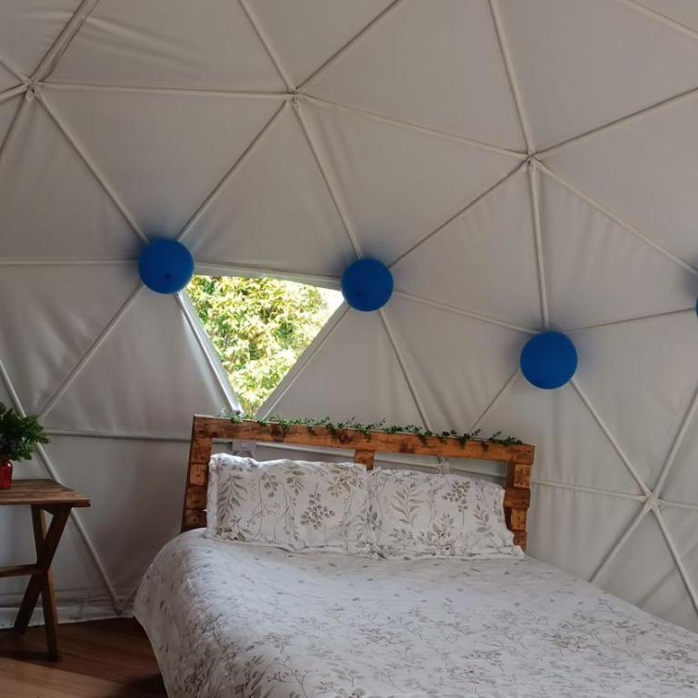 DOMO Roca Glamping Suesca - Tienda - 6