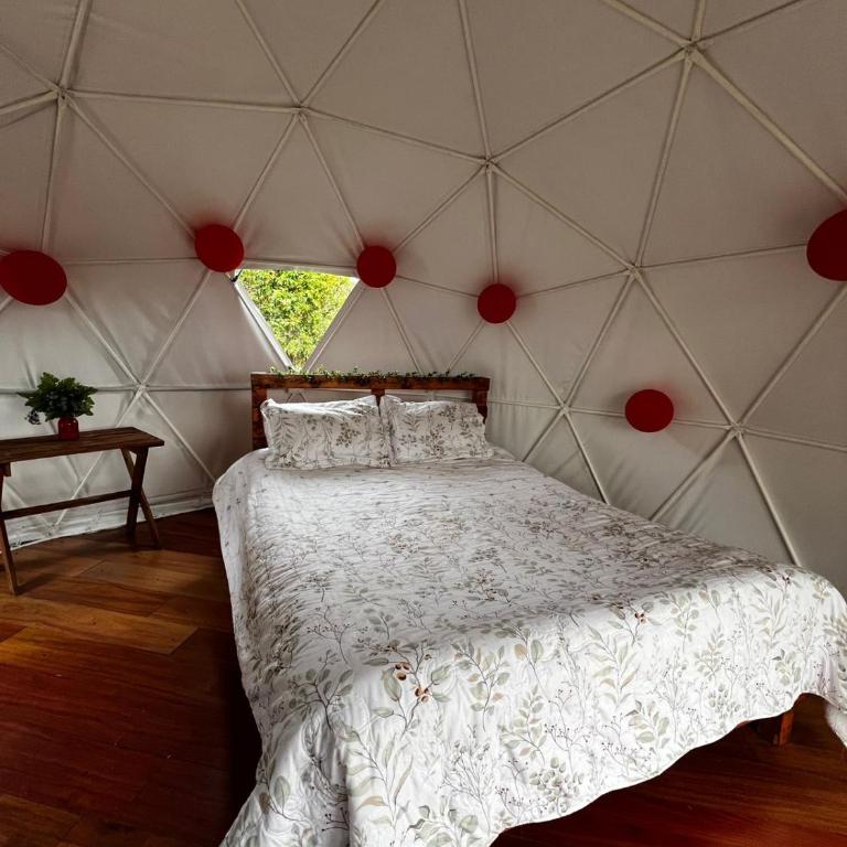 DOMO Roca Glamping Suesca - Tienda - 12