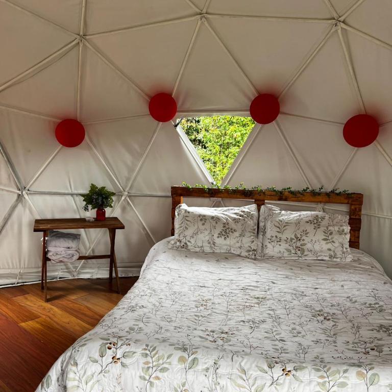 DOMO Roca Glamping Suesca - Tienda - 9