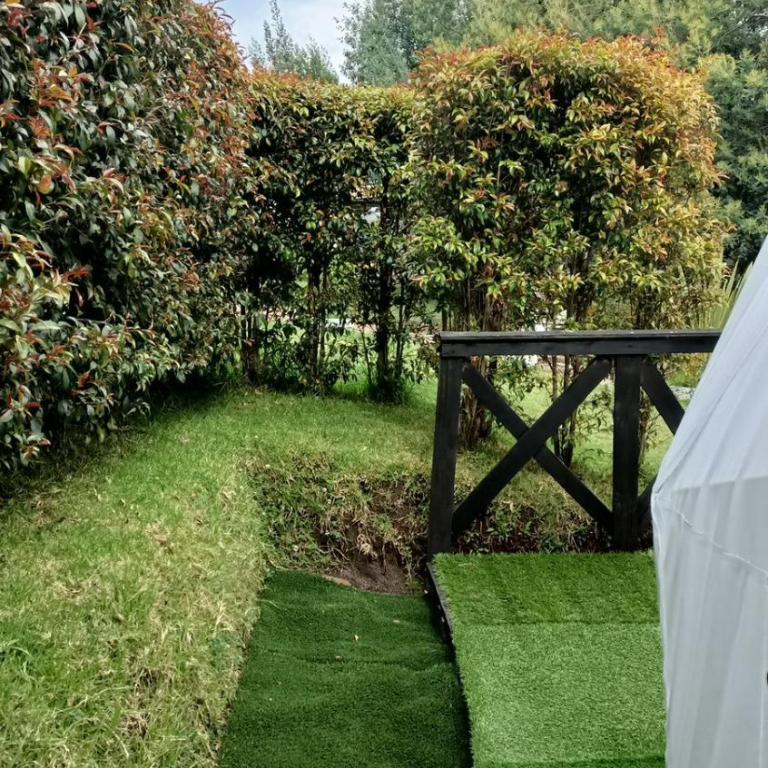 DOMO Roca Glamping Suesca - Tienda - 16
