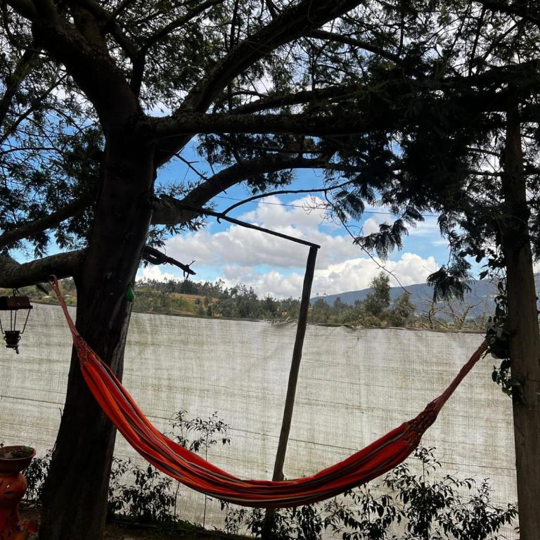Mini Cabaña Roca Glamping - Deluxe Double Room - 4
