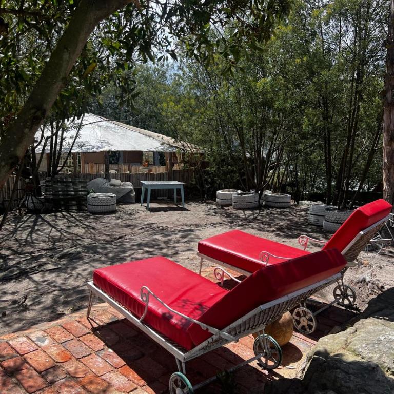 Mini Cabaña Roca Glamping - Twin Room - 11