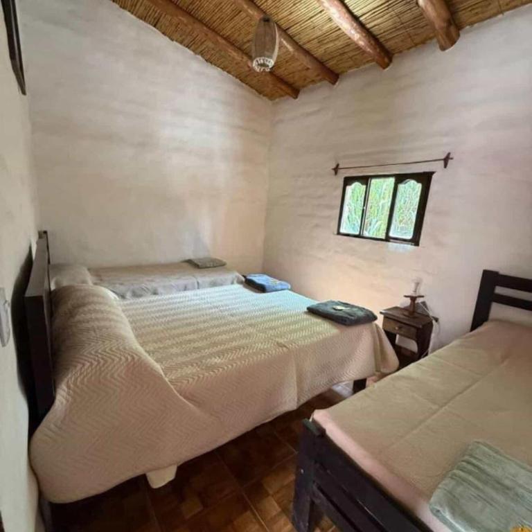 Cabañas El Cardón - Apartamento - 3