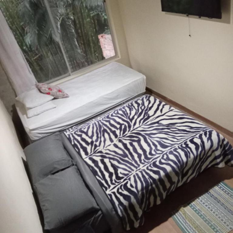 Lindo aparta-bosque - Two-Bedroom Apartment - 2