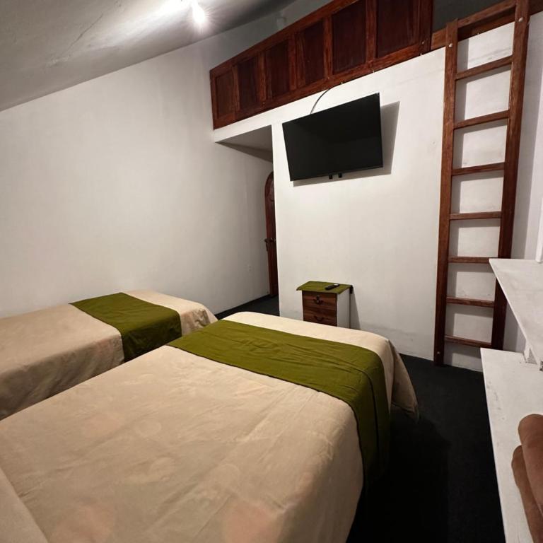 Eco Bunnu Inn Santa Ana - Twin Room - 21