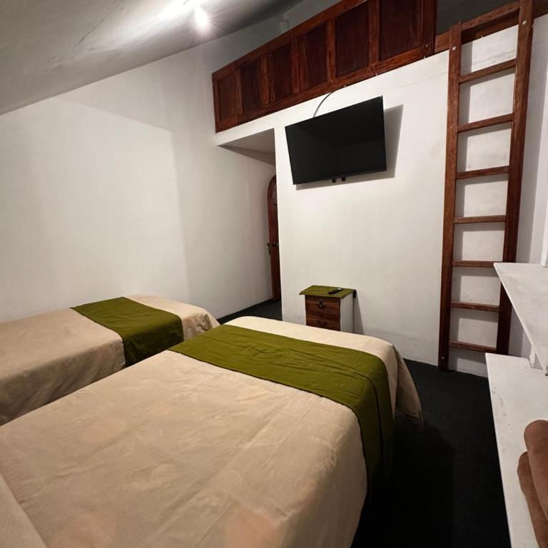 Eco Bunnu Inn Santa Ana - Twin Room - 20