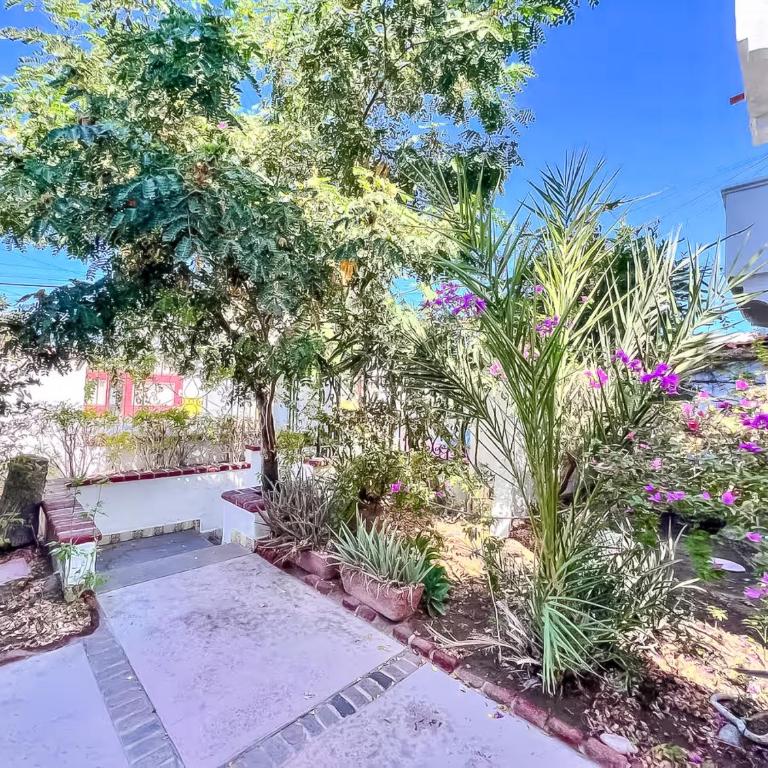 Casa Blanca Condominio - One-Bedroom Apartment - 10
