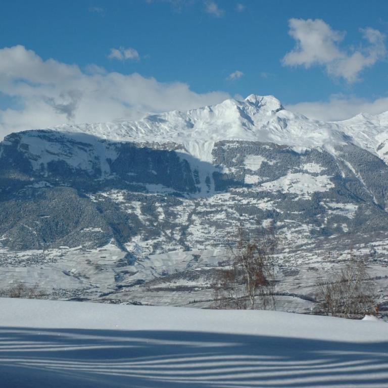 Panoramachalet - Apartment mit Blick auf die Berge - 39