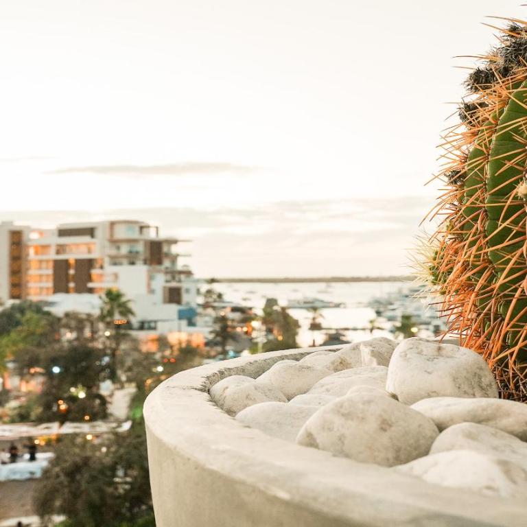 Casa Altamar - Rooftop, vistas y Piscina a pasos del Malecon - Three-Bedroom Vacation Home - 45