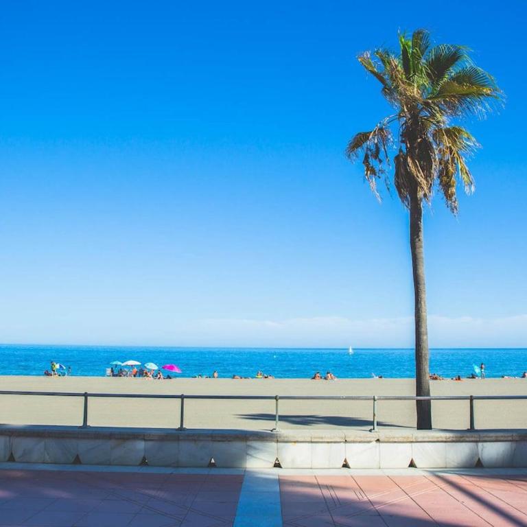 Spectacular beachfront apartment - Casa - 2