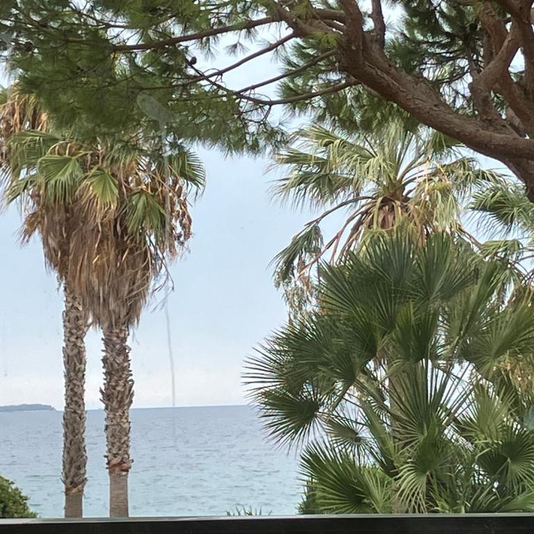 Cannes Terrace Beach Front & Sea view - Apartment mit Terrasse - 25